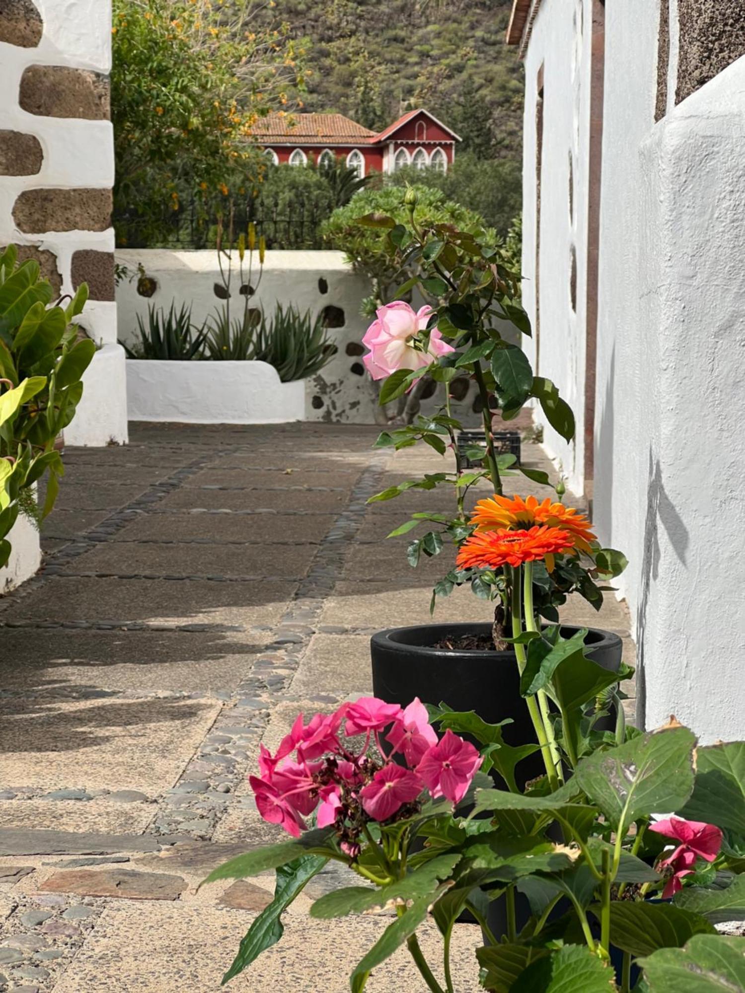 Finca Exclusiv La Mareta Агаете Екстериор снимка