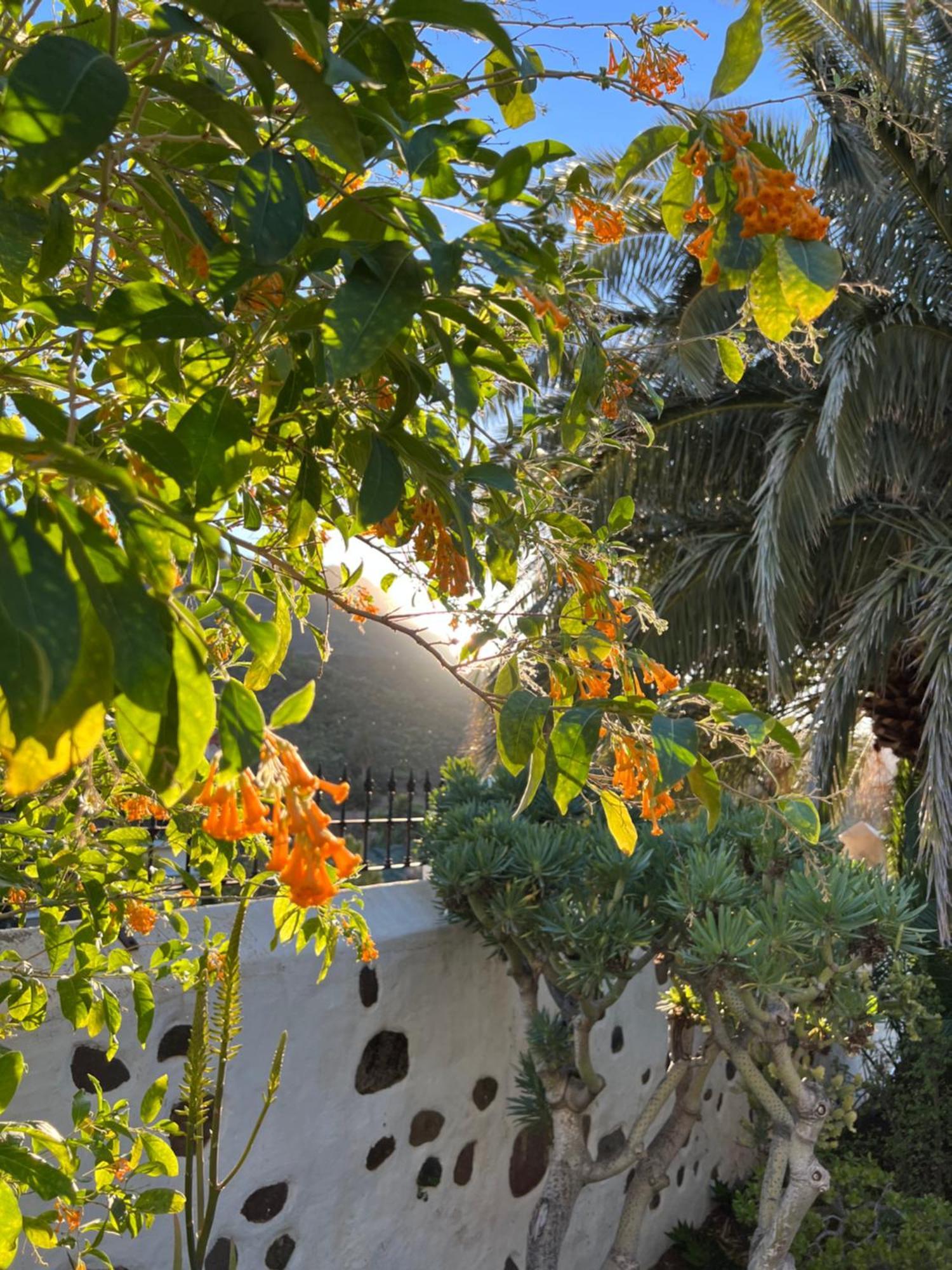 Finca Exclusiv La Mareta Агаете Екстериор снимка