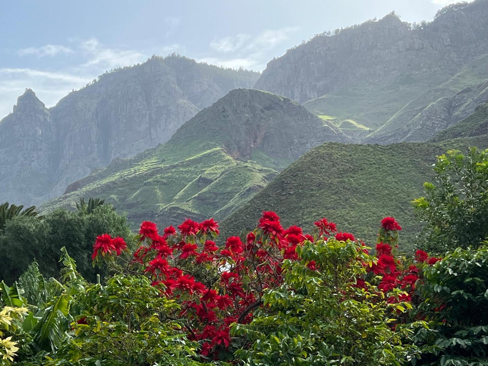 Finca Exclusiv La Mareta Агаете Екстериор снимка