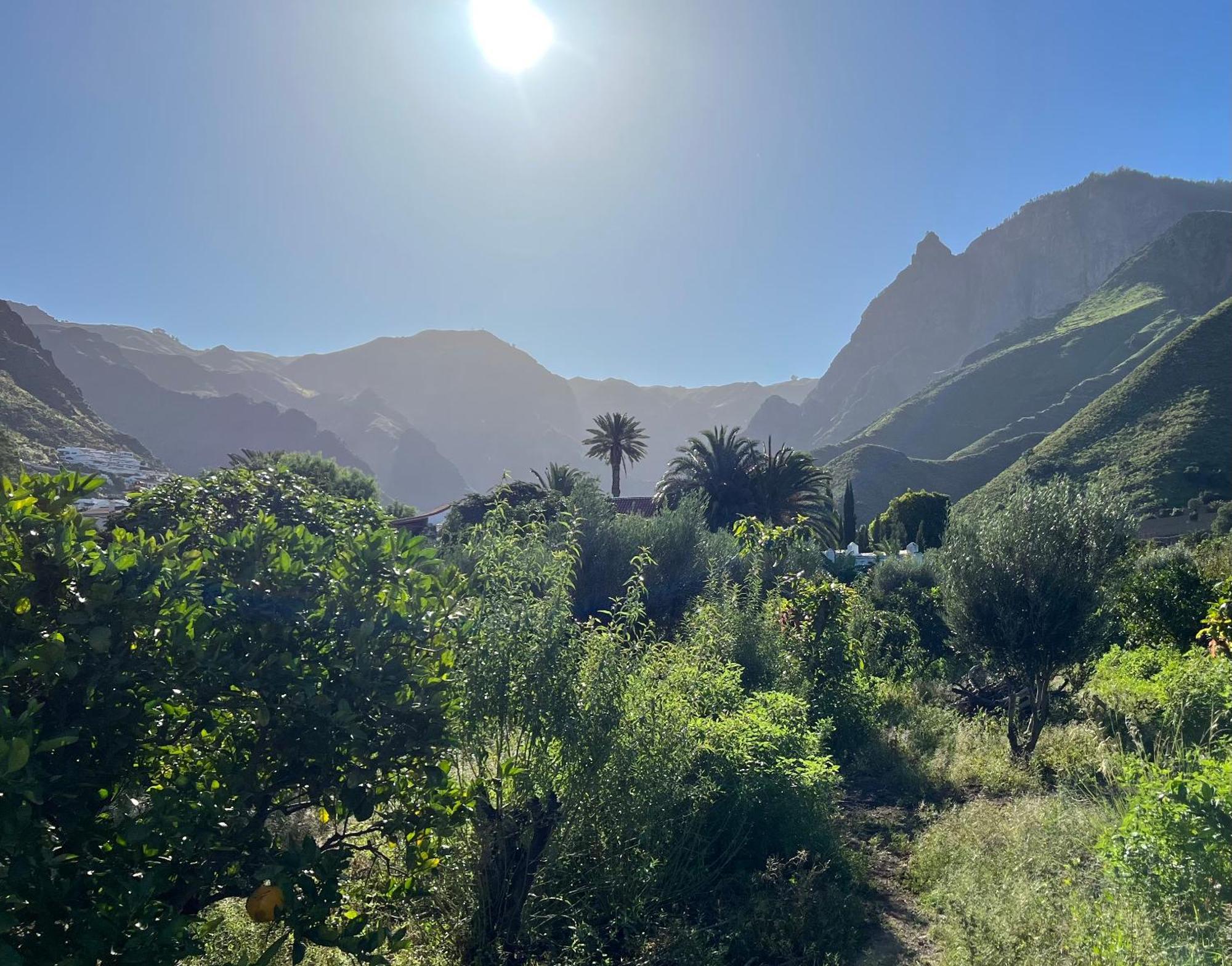 Finca Exclusiv La Mareta Агаете Екстериор снимка
